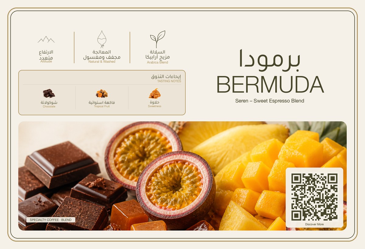 برمودا